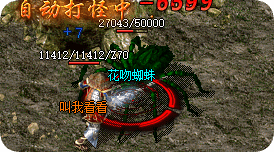 <strong>7sf新区入门技巧分享</strong>