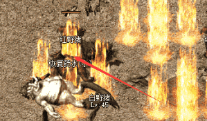 <strong>老区玩家不敢碰的角落，却藏着终极秘密</strong>