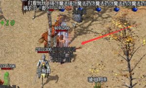 迷失洞穴深度解析：老玩家的实战心得
